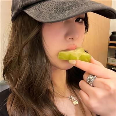 来自收容所的爱